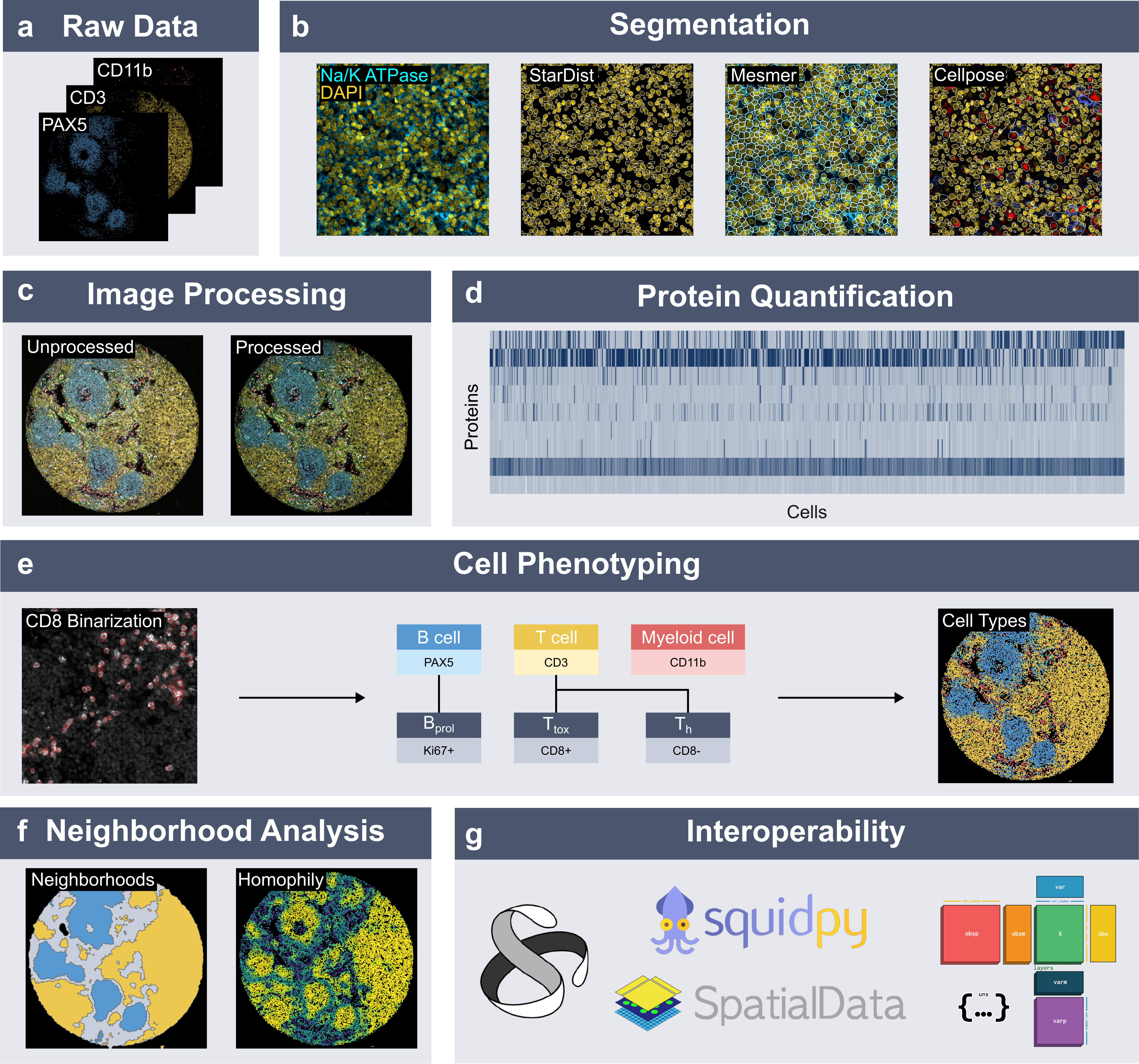 Spatialproteomics orchestrates analysis workflows for high-dimensional imaging datasets.