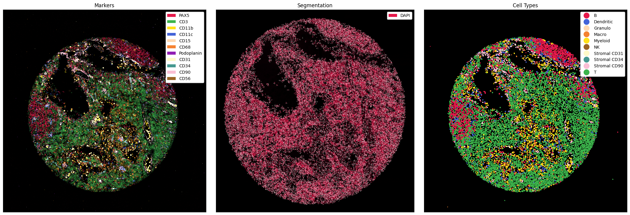 ../_images/notebooks_CellTypePrediction_11_0.png