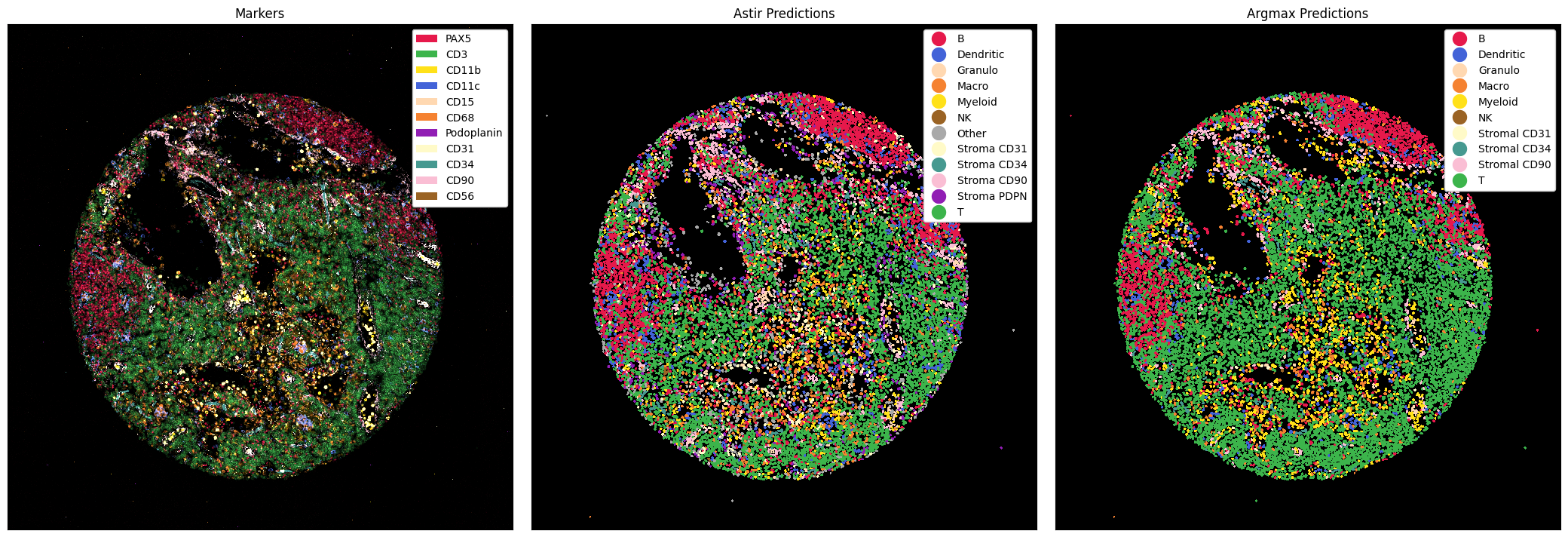 ../_images/notebooks_CellTypePrediction_21_0.png