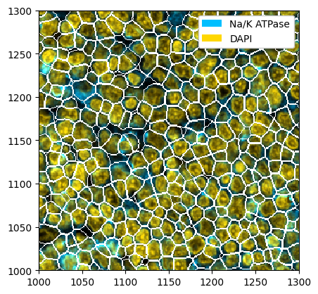 ../_images/notebooks_Segmentation_7_0.png