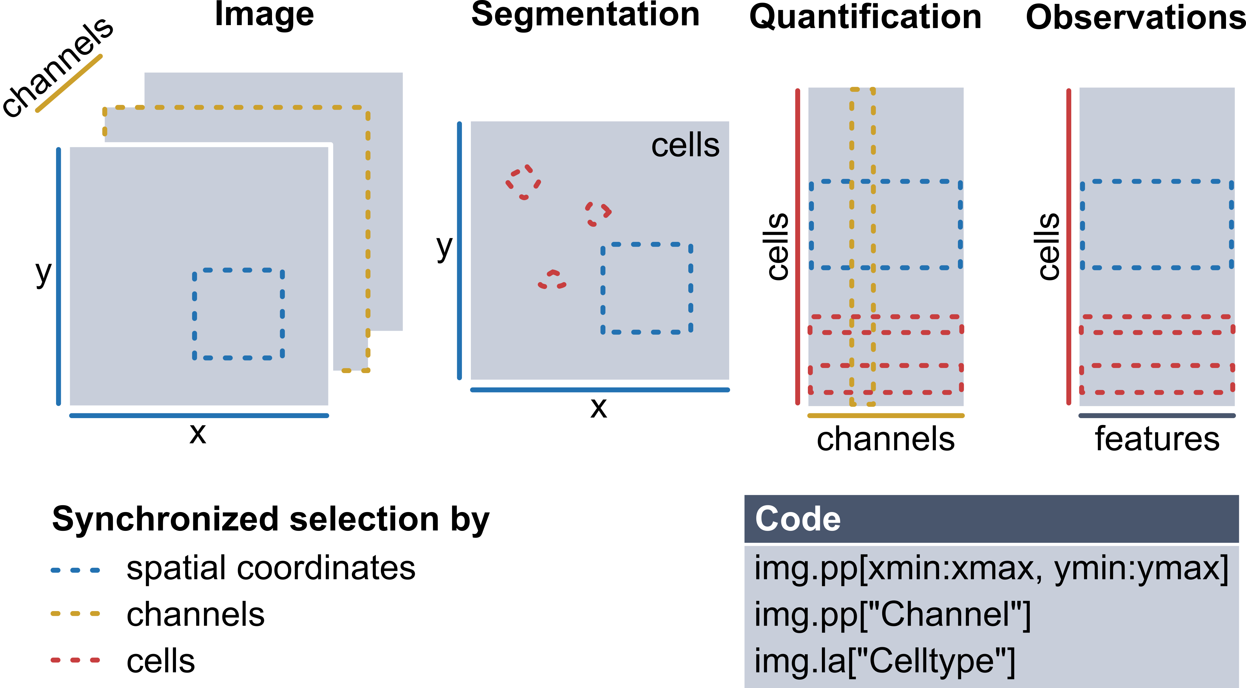 The spatialproteomics data structure enables synchronized subsetting across shared dimensions.